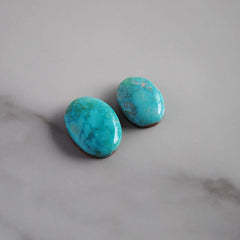 Carico turquoise cabochons