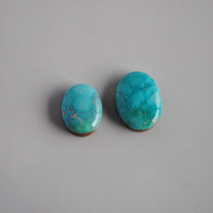 Carico turquoise cabochons
