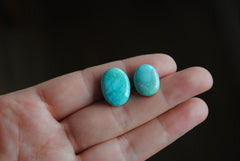 Carico turquoise cabochons