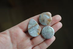 Crazy lace agate cabochons