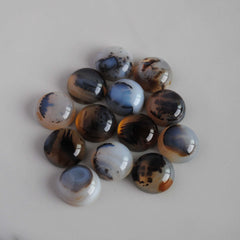Dendrite agate cabochons 15mm rounds (lot D)