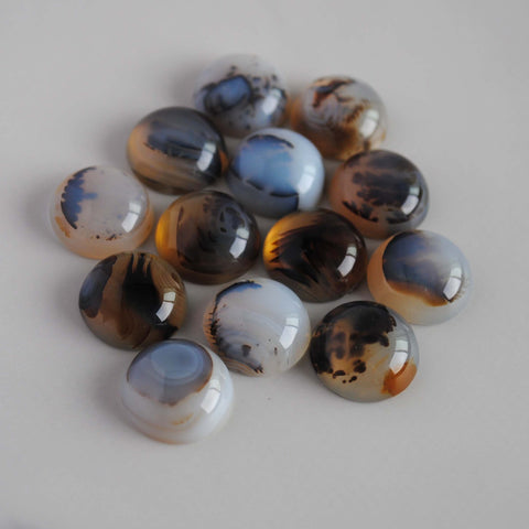 Dendrite agate cabochons 15mm rounds (lot D)