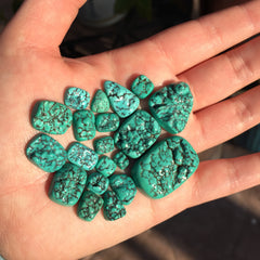 Old stock nugget Fox turquoise cabochons
