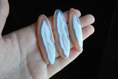 Botswana agate cabochons
