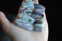 Botswana agate cabochons