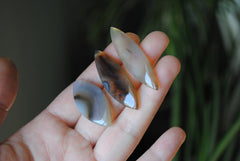 Montana agate cabochons