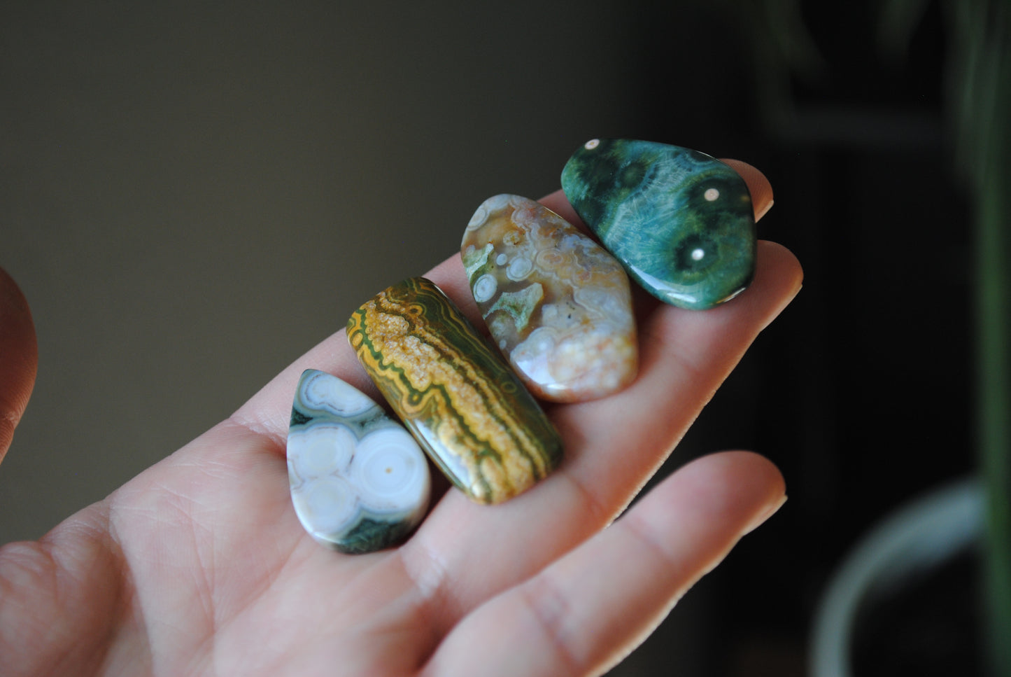 Ocean Jasper cabochons