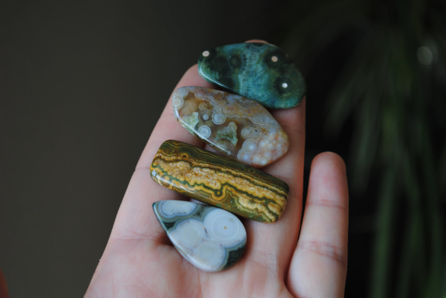 Ocean Jasper cabochons