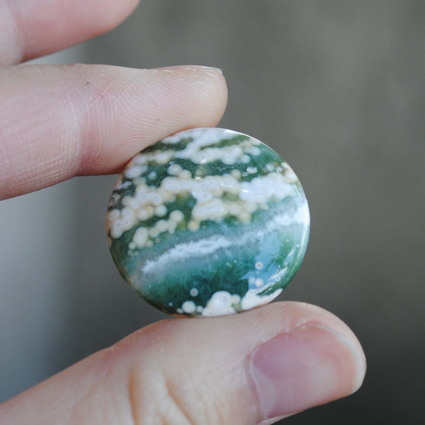 25mm round Ocean Jasper cabs