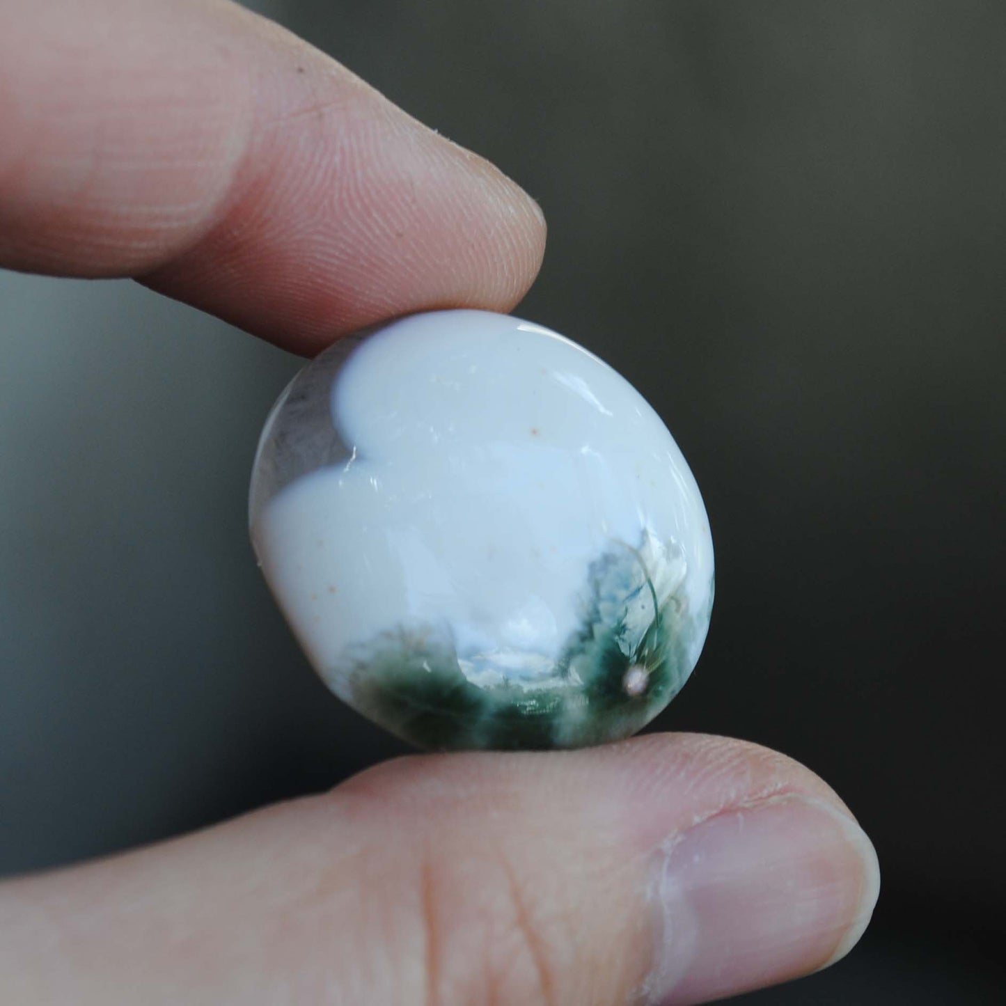 25mm round Ocean Jasper cabs