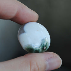25mm round Ocean Jasper cabs