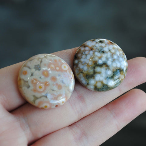 25mm round Ocean Jasper cabs