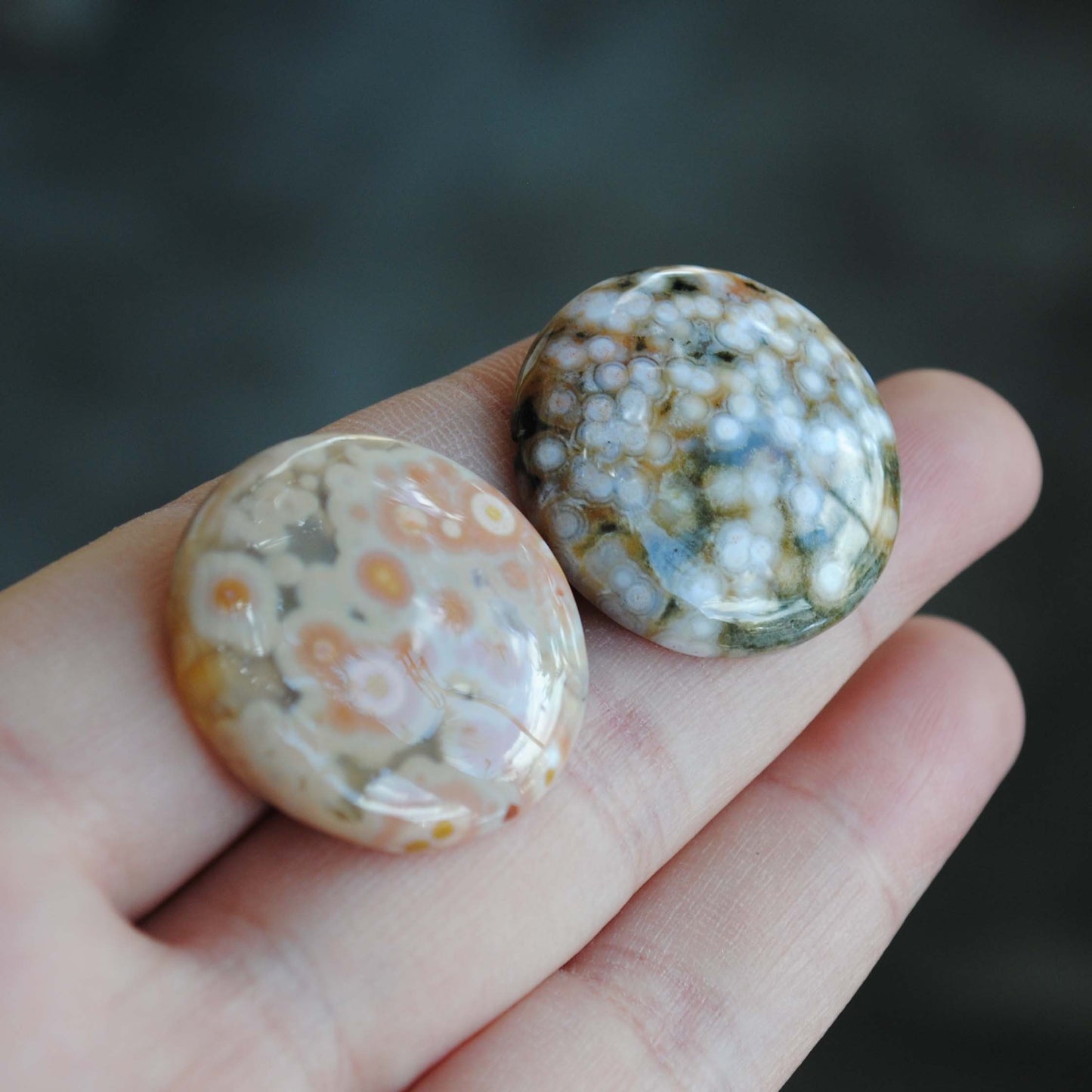 25mm round Ocean Jasper cabs