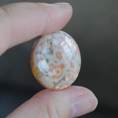 25mm round Ocean Jasper cabs