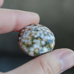 25mm round Ocean Jasper cabs