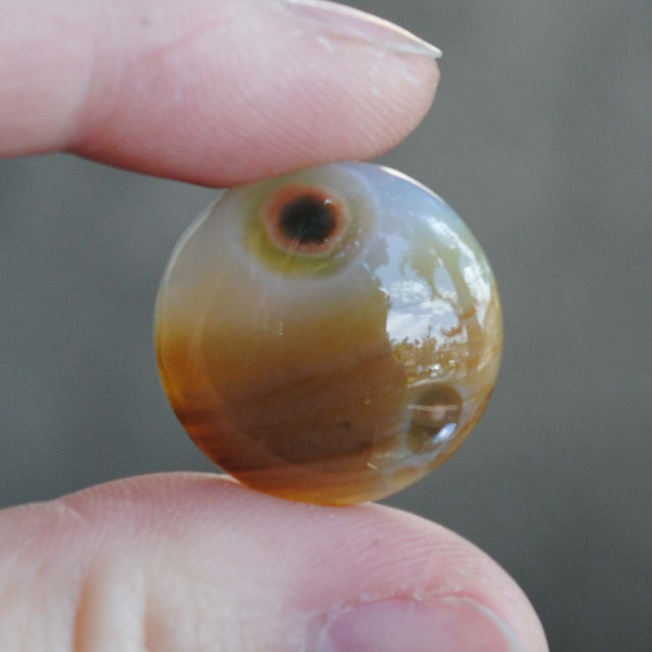Ocean Jasper cabs