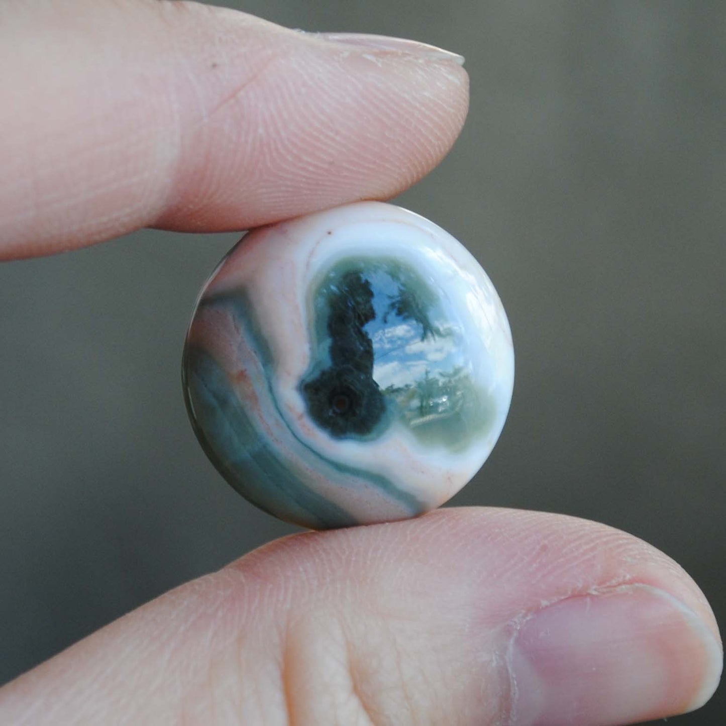 Ocean Jasper cabs