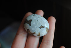 Ocean Jasper cabochon