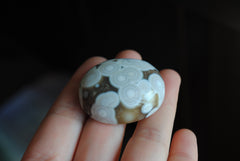 Ocean Jasper cabochon