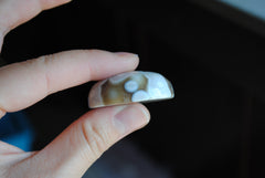 Ocean Jasper cabochon