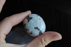 Ocean Jasper cabochon