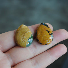 Ocean Jasper cabs