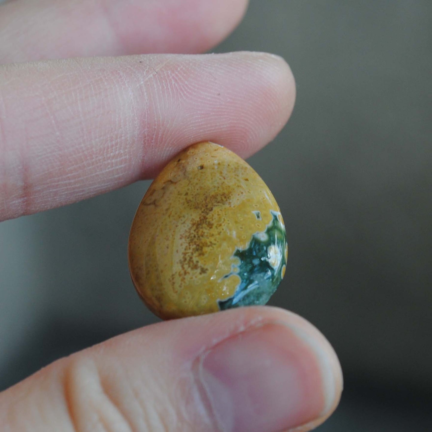 Ocean Jasper cabs