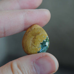 Ocean Jasper cabs