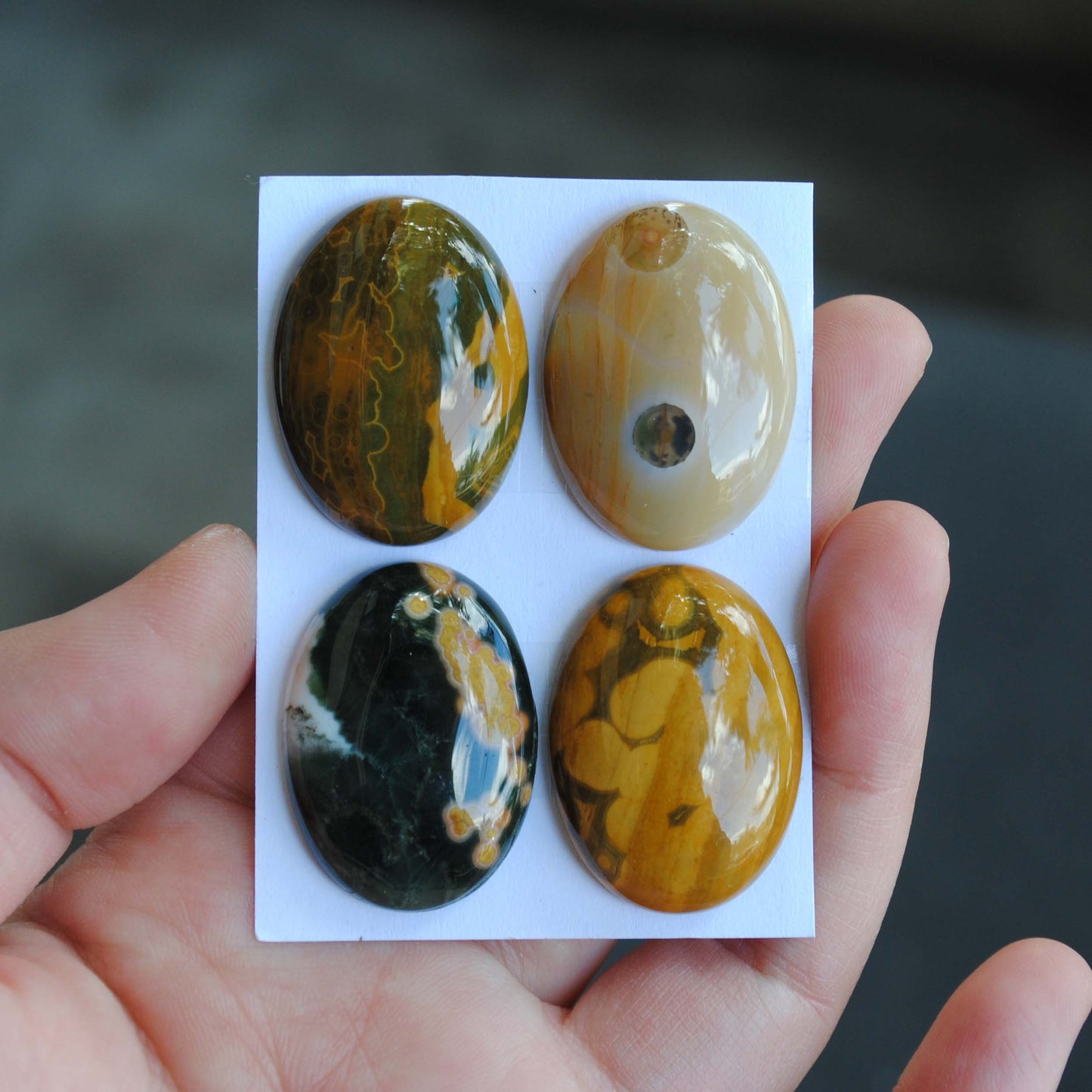 Oval Ocean Jasper cabs