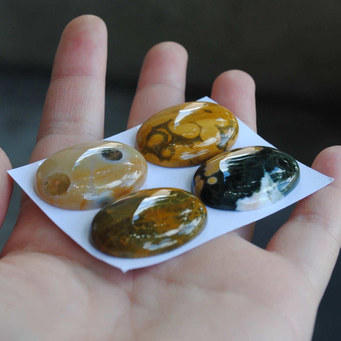 Oval Ocean Jasper cabs