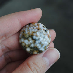 25mm round Ocean Jasper cabs