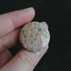 25mm round Ocean Jasper cabs