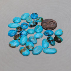 Kingman Turquoise Freeform Cabs (Lot 1)