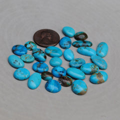 Kingman Turquoise Freeform Cabs (Lot 1)