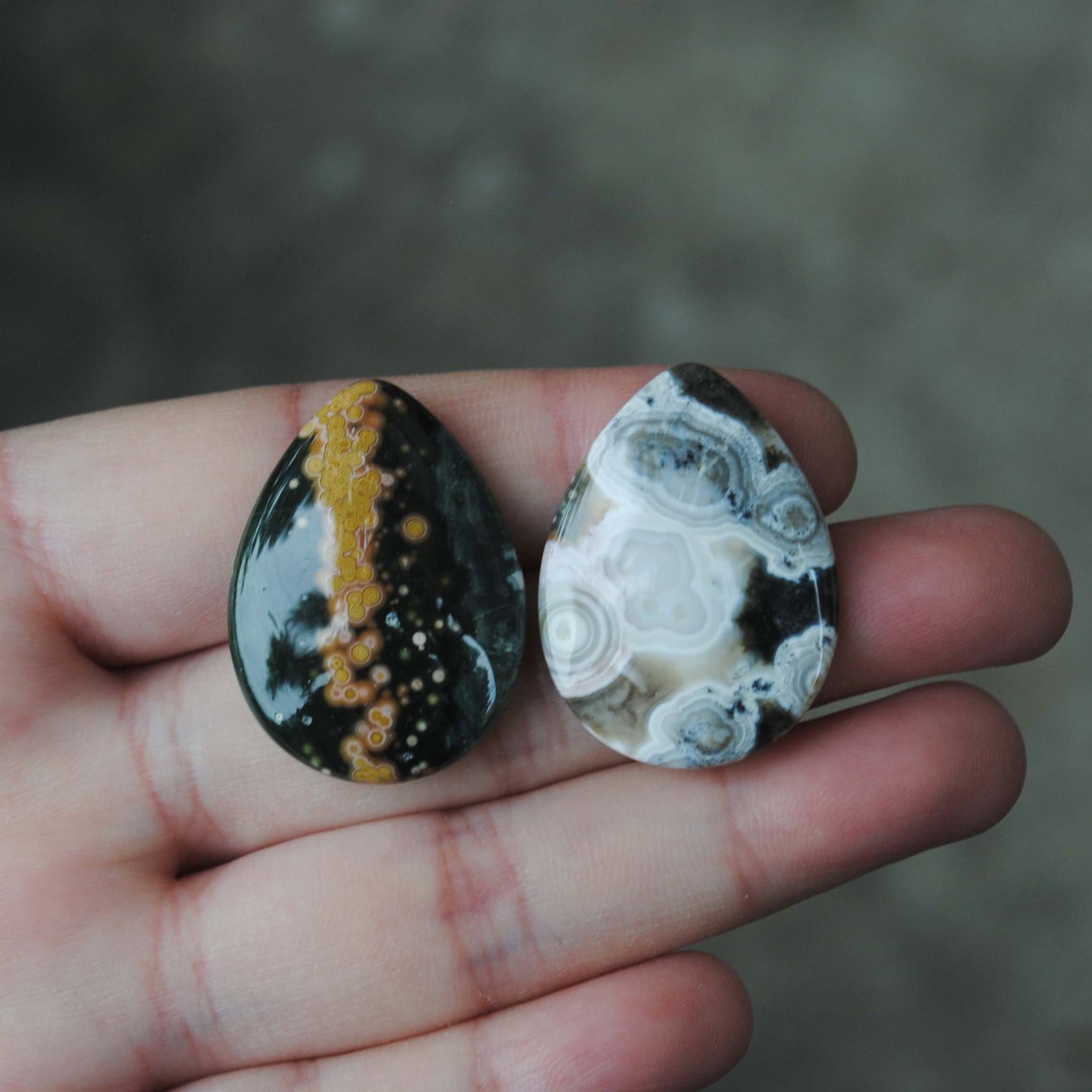 30 x 22mm drop Ocean Jasper cabs