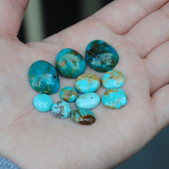 Kingman Turquoise Freeform Cabs (Lot 2)