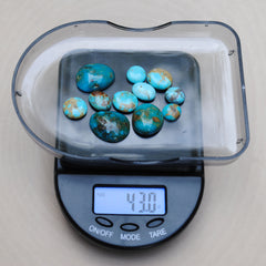 Kingman Turquoise Freeform Cabs (Lot 2)