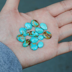 Kingman Turquoise Freeform Cabs (Lot 3)
