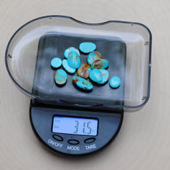 Kingman Turquoise Freeform Cabs (Lot 3)