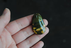 Freeform Ocean Jasper cab