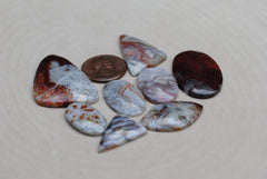Crazy Lace Agate Freeform Cabs