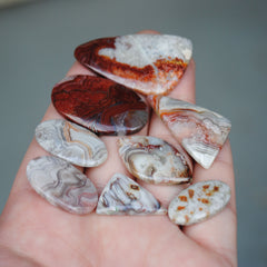 Crazy Lace Agate Freeform Cabs