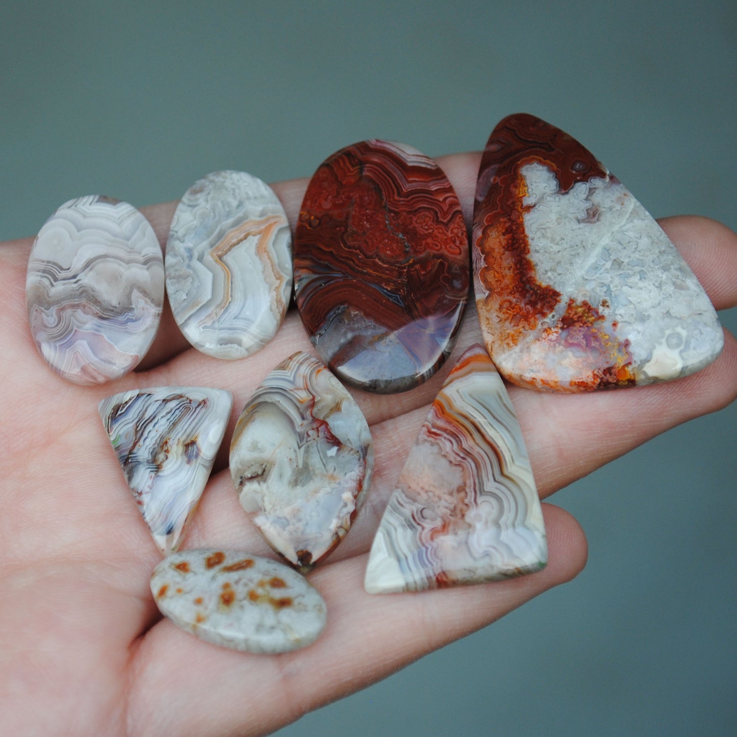 Crazy Lace Agate Freeform Cabs