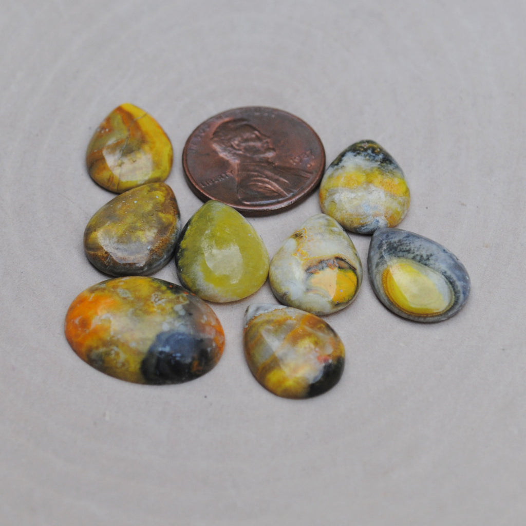 Bumble Bee Jasper Cabs