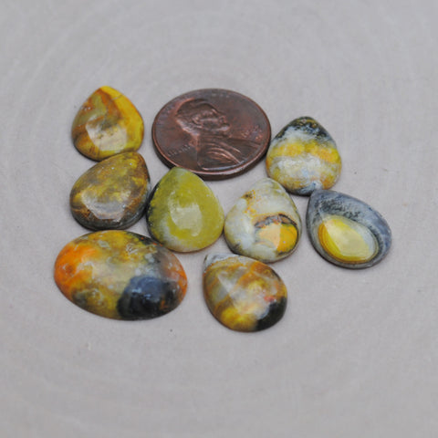 Bumble Bee Jasper Cabs