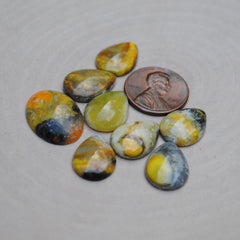 Bumble Bee Jasper Cabs