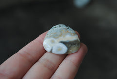 Trillion Ocean Jasper cab