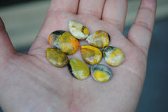 Bumble Bee Jasper Cabs