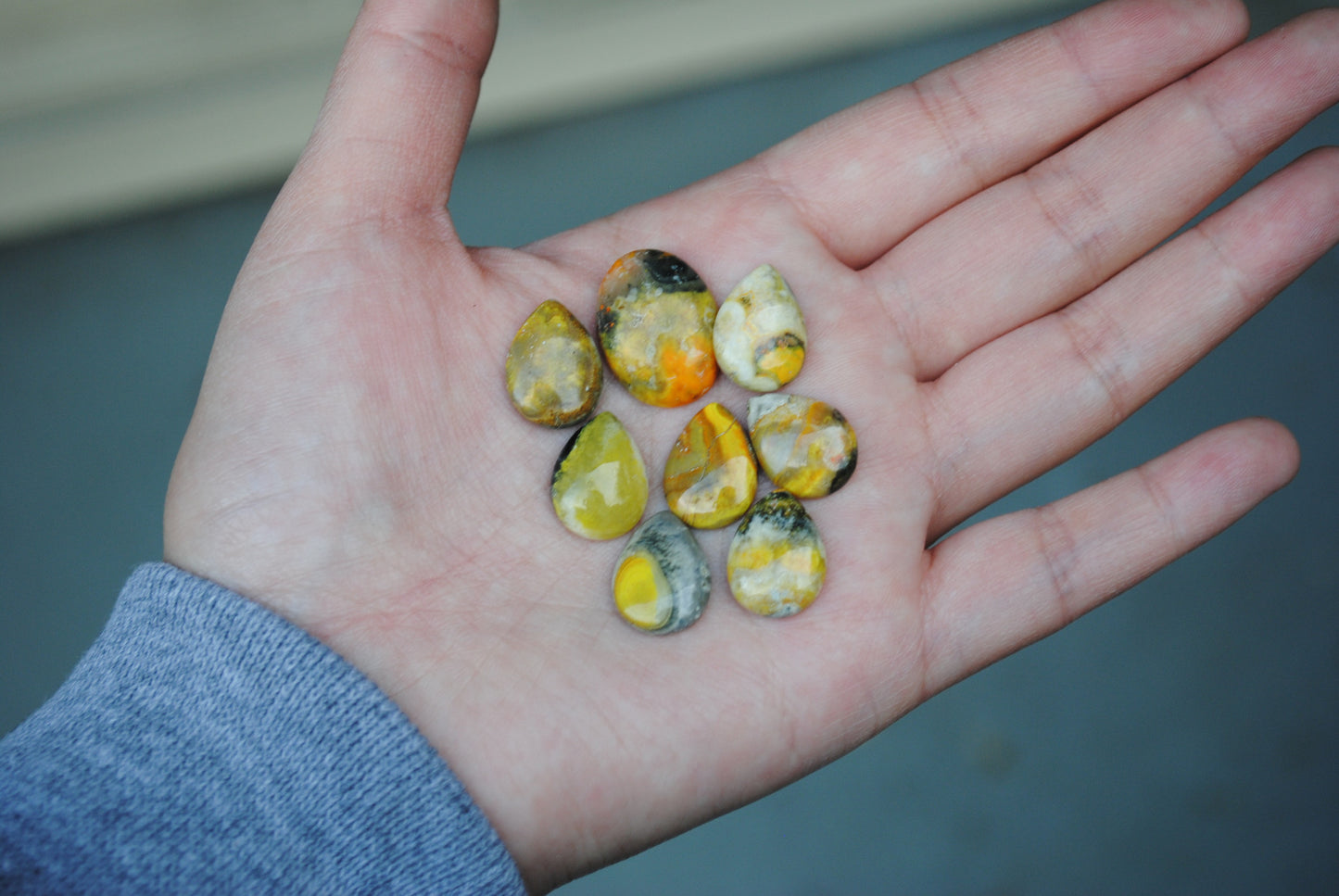 Bumble Bee Jasper Cabs