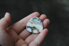Trillion Ocean Jasper cab